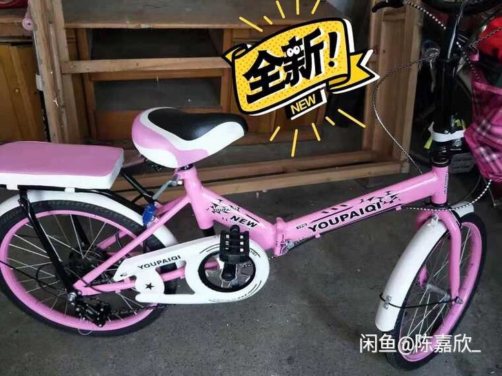 学生 折叠车 本来打算过生日送的