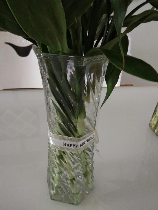 加厚大号玻璃花瓶家用插花花瓶摆件透明水养富...