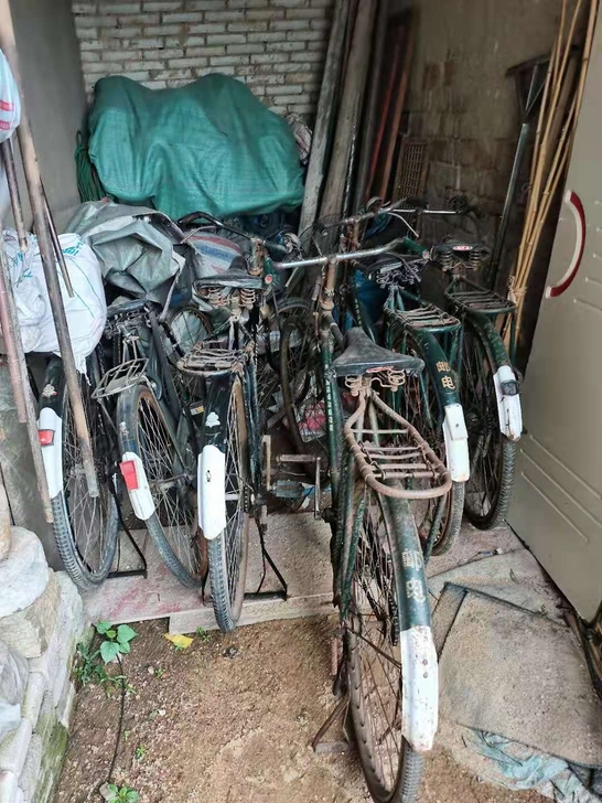处理一批永久邮电凤凰飞鸽老式自行车51重型...