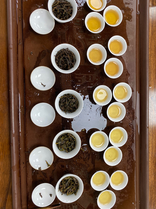 凤凰单从 各品种