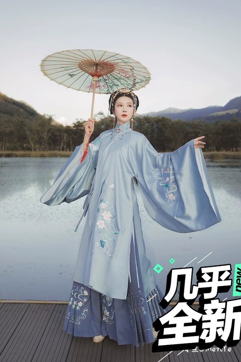 一套标价缺钱急出，花神记袄裙明制套装立领秋...