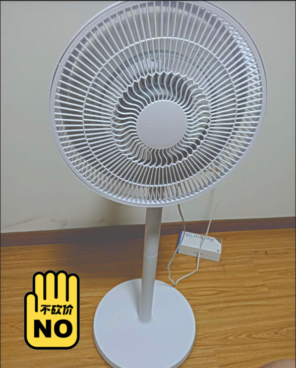 处理长虹大品牌电风扇