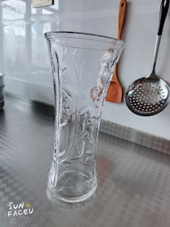 花瓶 在花鸟市场买的 特别厚实的玻璃 高4...