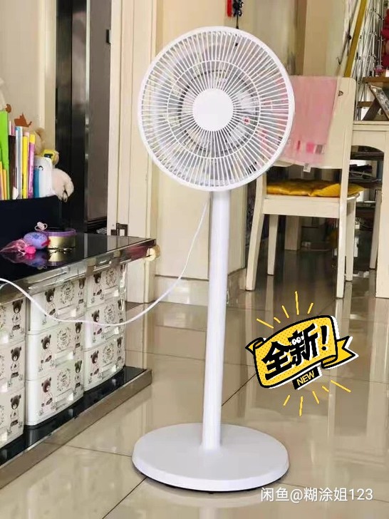 识货的来，全新家用长虹电风扇落地扇处理了