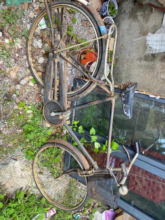 凤凰二八大杠自行车，有点年头了 牌照还在的...