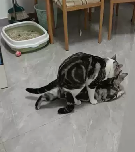 经验丰富 脸蛋漂亮 眼睛圆润 可以上门