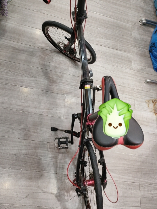 折叠自行车，放置好久，低价出售。七成新。有...