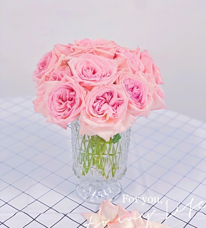 北欧风玻璃花瓶水培容器插花客厅水养创意桌面...