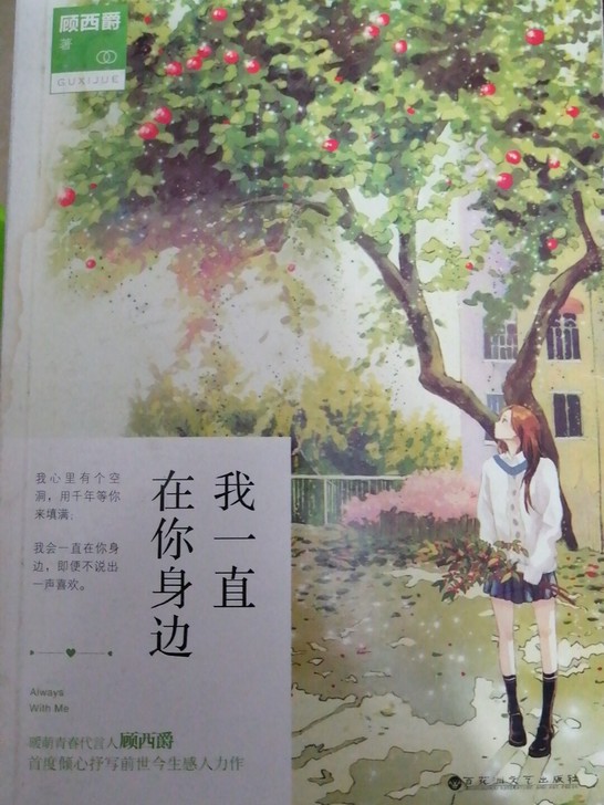 顾西爵的我一直在你身边