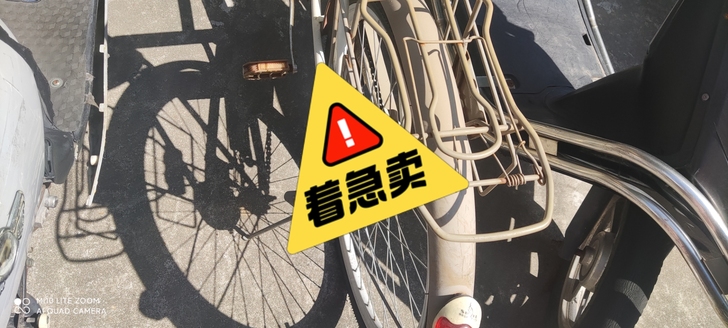 自行现在有了电动车，用不到了，便宜100元出