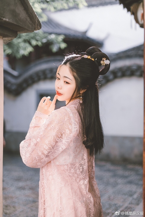 【汉服】摘星辞宋制织银蕾丝褙子