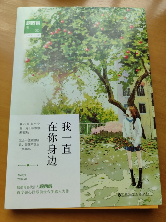 顾西爵$$##$$《我一直在你身边》