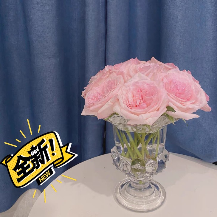全新包邮 法式透明玻璃高脚花瓶插花水养客厅...