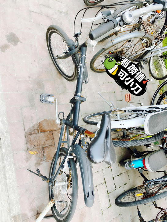 因闲置转出一辆折叠自行车，大人小孩都能骑，成色如图，有点生锈