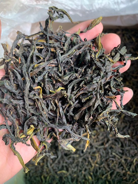潮州凤凰单枞，自家种植凤凰单丛，纯正凤凰自...