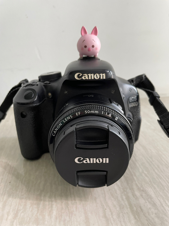 佳能600d，配小痰盂，小猪热靴盖自己配的...