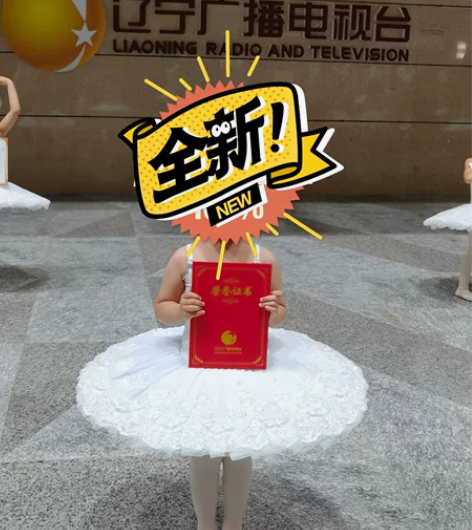 白天鹅舞蹈裙，芭蕾舞蹈裙，110码，白色发...