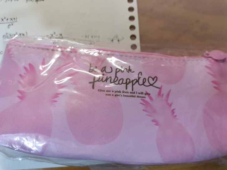 笔袋大容量，全新4元