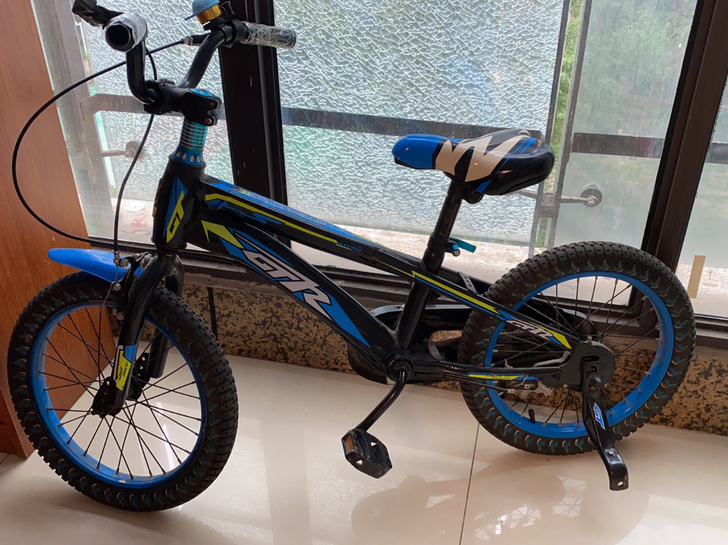 上海凤凰儿童自行车,16寸,功能完好,八成...