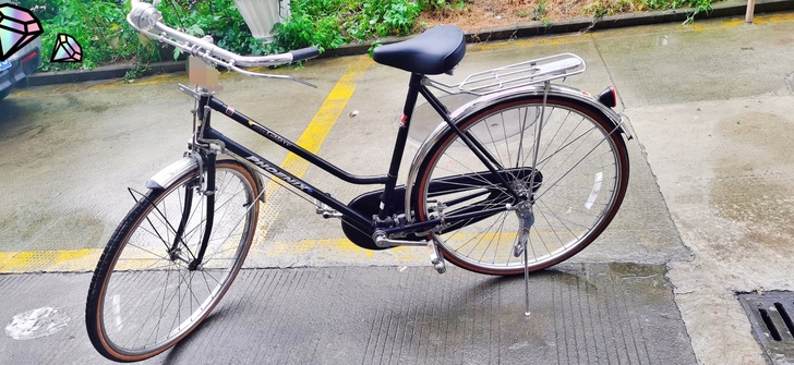 凤凰老上海26寸传统老式复古自行车单车 几...