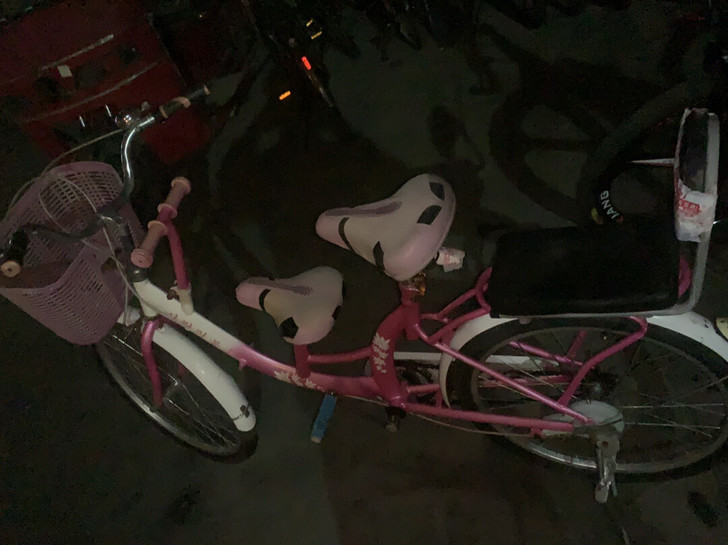 母子自行车  亲子自行车 双人带人自行车朝...