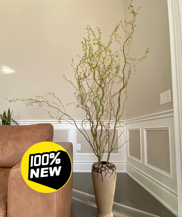 低价处理水培鲜龙柳插花1米高10支只要34...