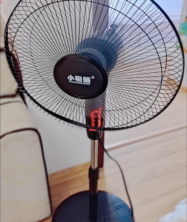 (最后5台，顺丰包邮)16寸电风扇落地扇全新
