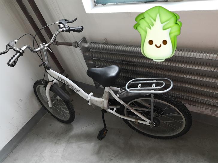 白菜价，闲置折叠自行车，清理楼道，要的来！...