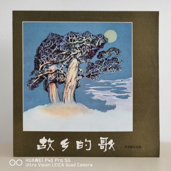 12寸大黑胶  中唱精品黑胶唱片  民族器...