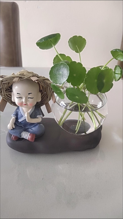 【9.9包邮】绿萝水培花盆器皿花瓶透明玻璃...