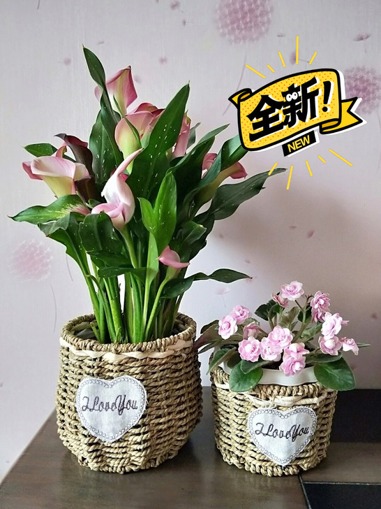 全新藤编花篮草编花盆创意手工编织花篮田园手...
