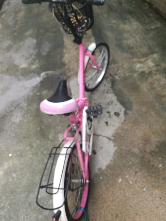 折叠自行车,几乎九成新,120块,不讲价,...