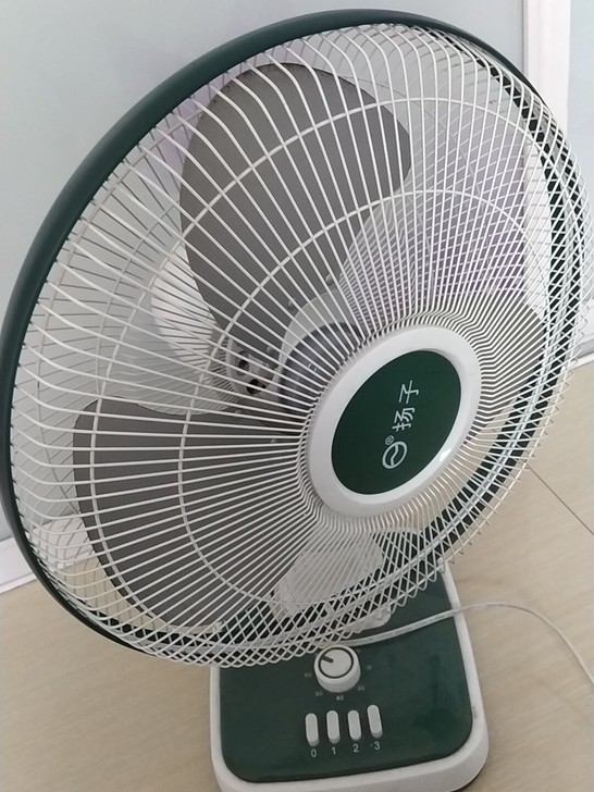 杨子电扇便宜包邮12寸