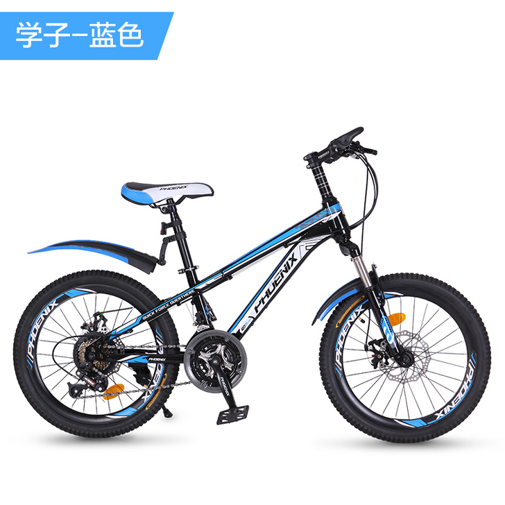 Phoenix/凤凰 山地自行车 买回后一...