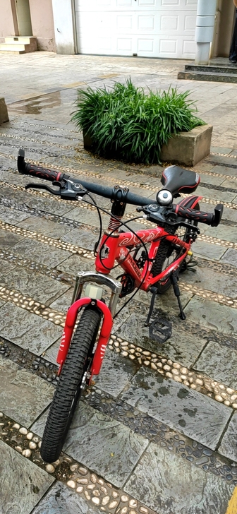 凤凰青少年单车