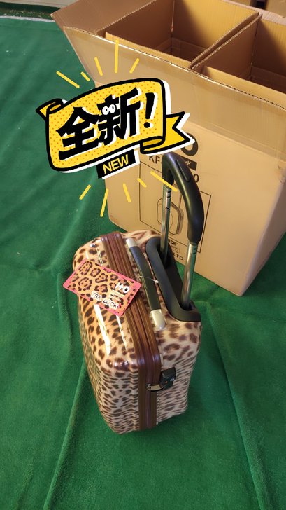 ito豹纹20寸两个拉杆箱。内衬布有点染色...