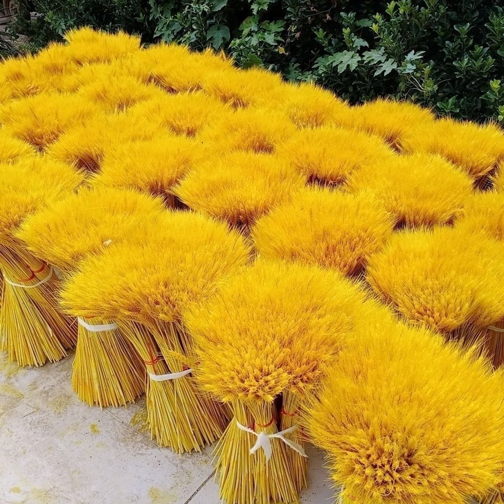 包邮100支9.9金色麦穗干花花束开业大卖...