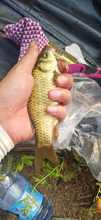 佳能1500D单机成色新