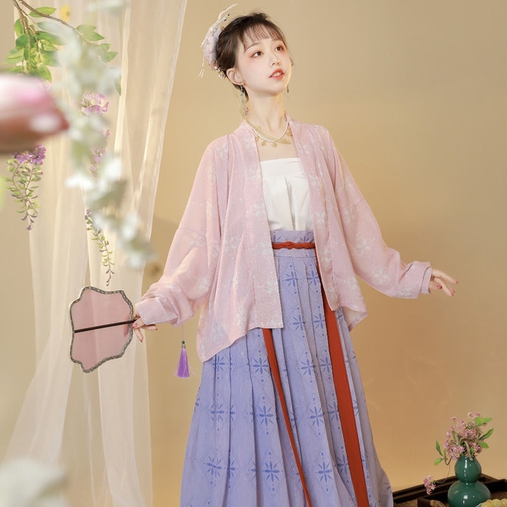 [科幻]原创正品宋制四件套汉服宋制飞机袖复...