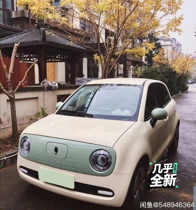 收！收！收！欧拉黑猫或白猫一台，长三角周围