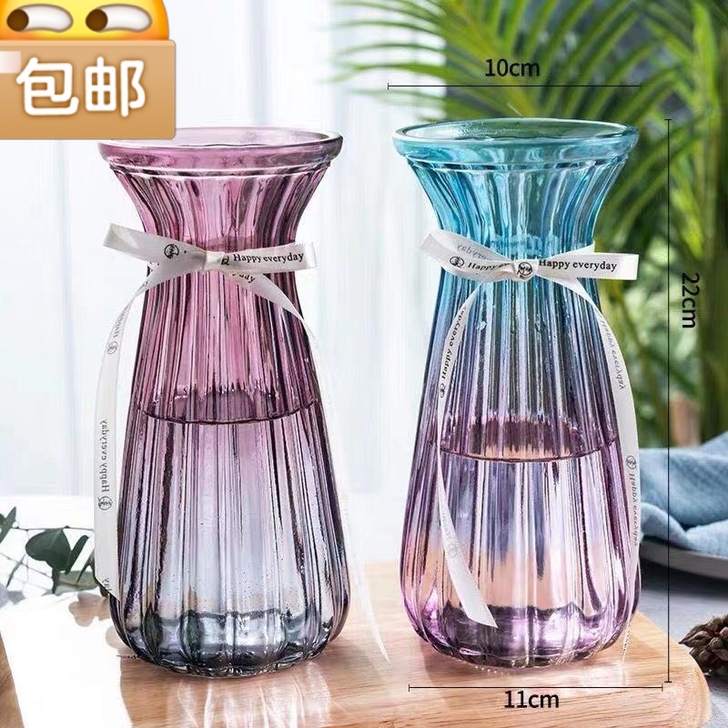 两个10.9加厚玻璃花瓶客厅插花摆件水培富...