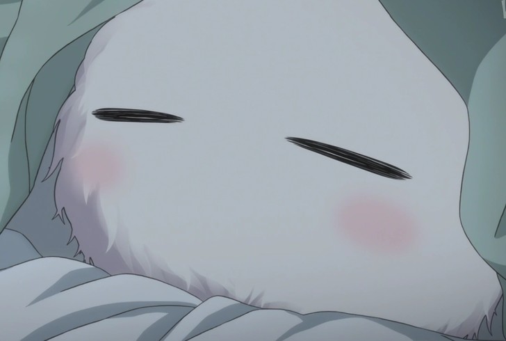 ◤暂停◢ NS 乙女 卡带 通常版