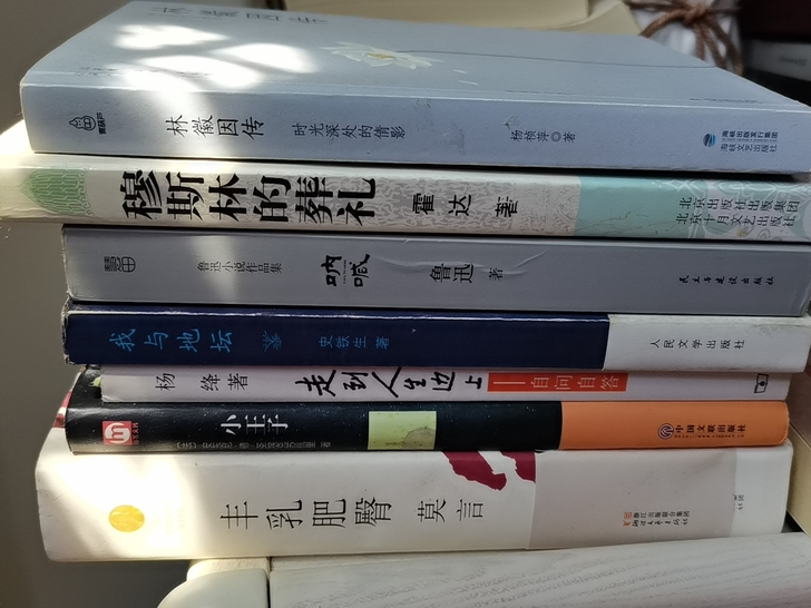 所有书籍便宜转手，都是文学作品