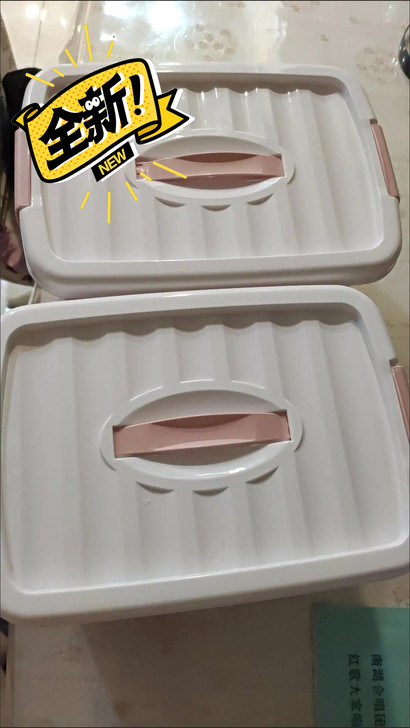 20元包邮全新收纳箱两个！