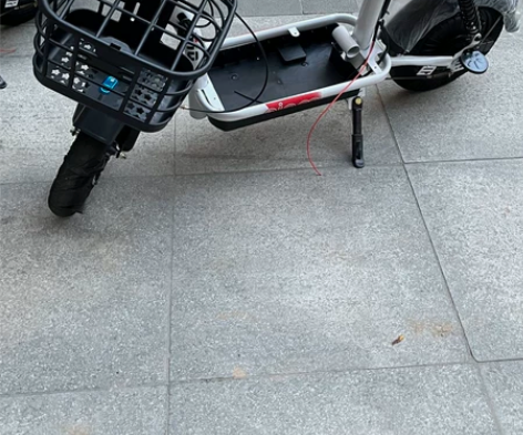 飞鸽新国标电动车成人电动自行车48V小型电...