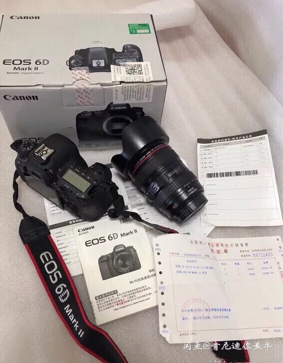 佳能6D2套机带24-105镜头 6d2相...