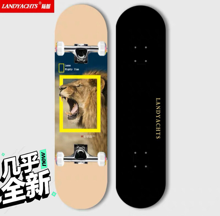 滑板王一博同款