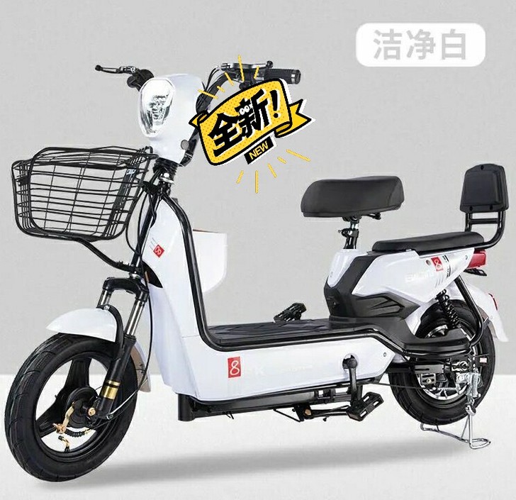 #节后鱼生#实体店处理全新国标电动车电瓶车...