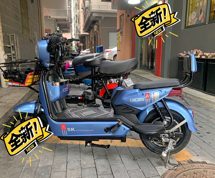 #节后鱼生#实体店处理全新国标电动车电瓶车...