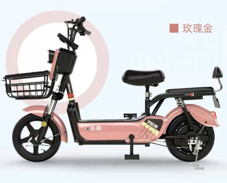 飞鸽电动车，全新全新全新，仅专卖店骑到家里...